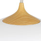 two tone ceiling light,  